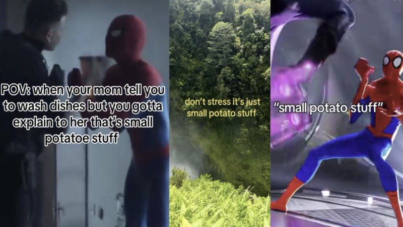 The 'Small Potato Stuff' meme from 'Spider-Man: Brand New Day' explained.