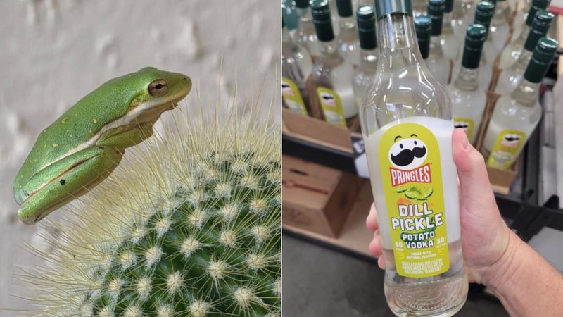 Two mildly interesting images.