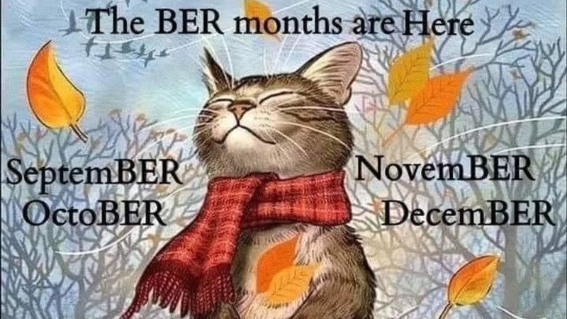 The 'Ber Months' meme explained.