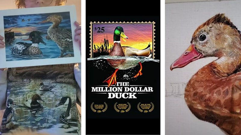 Three screenshots of Kira Sabin's viral video. Two of them, on the sides, show two of their contest entries. The screenshot on the middle shows a painting of a duck on a stamp and text that reads "The Million Dollar Duck."