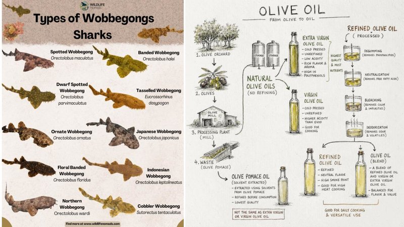 Two infographics.