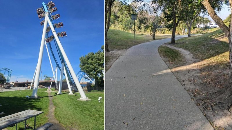 Two desire paths.