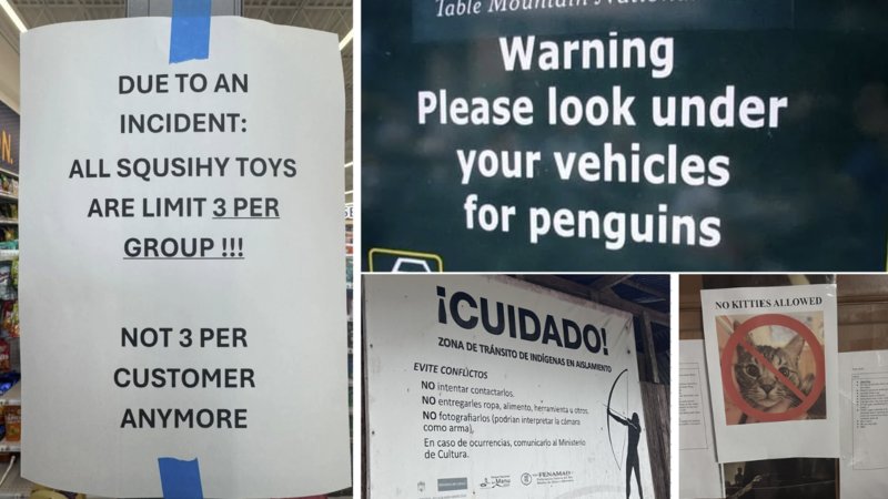 Examples of signs with backstories.