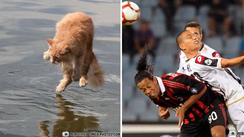 Two perfect photos.