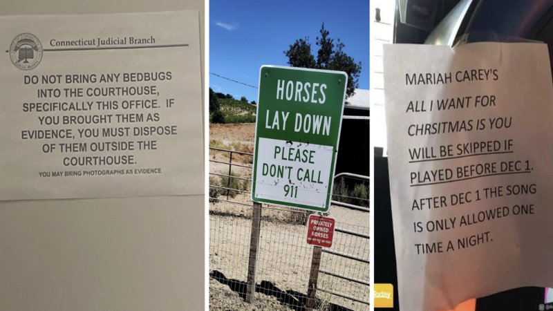 Examples of signs with backstories.
