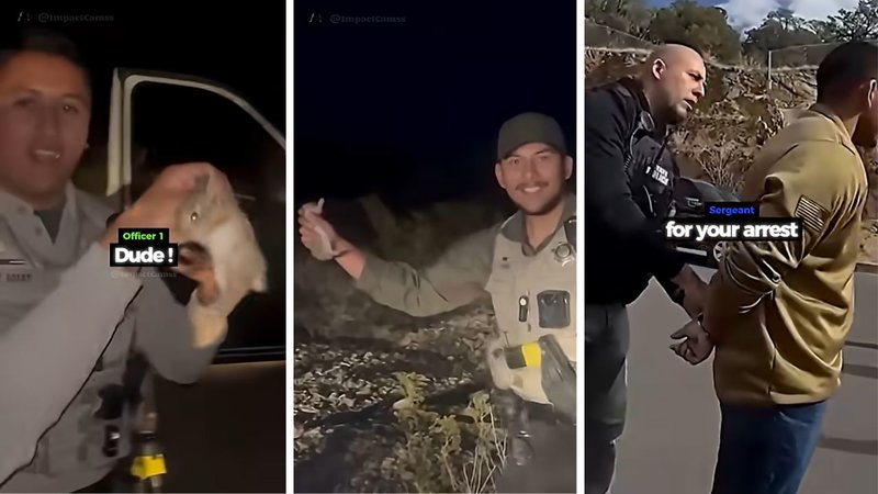 Three screenshots from a YouTube video. Two show some police officers handling a rabbit. The third shows one of the police officers getting arrested.
