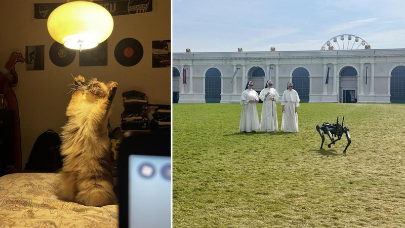 Two images.