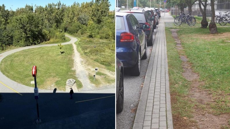 Two paths.