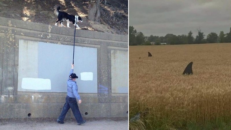 Two weird images.