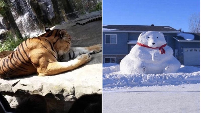 Two absolute units.