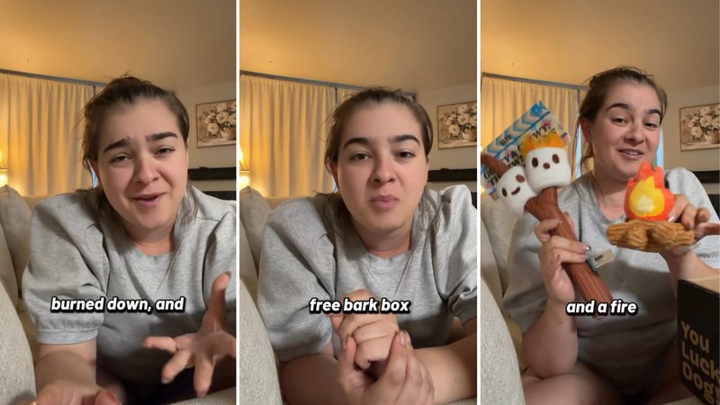 Three screenshots of Karli Breanne’s viral video, showing her opening a box and pulling out dog toys.