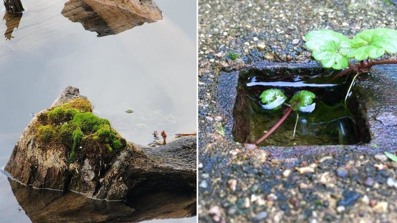 Two photos.