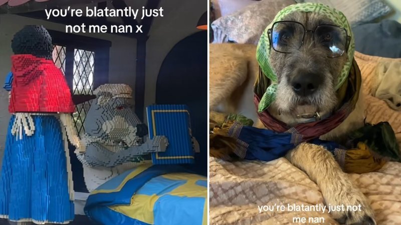 The 'Blatantly Not Me Nan' meme explained.