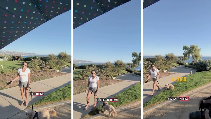 Three screenshots from Trinity Lugo’s viral video, showing a woman confronting her while walking a dog.