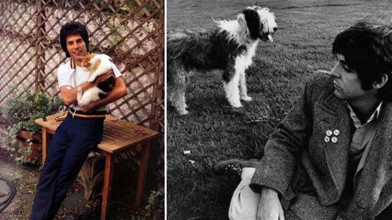 Two celebrities and dogs.