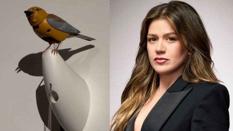 The Kelly Clarkson '$15,000 Bird Controversy' and Art Of Play drama explained.