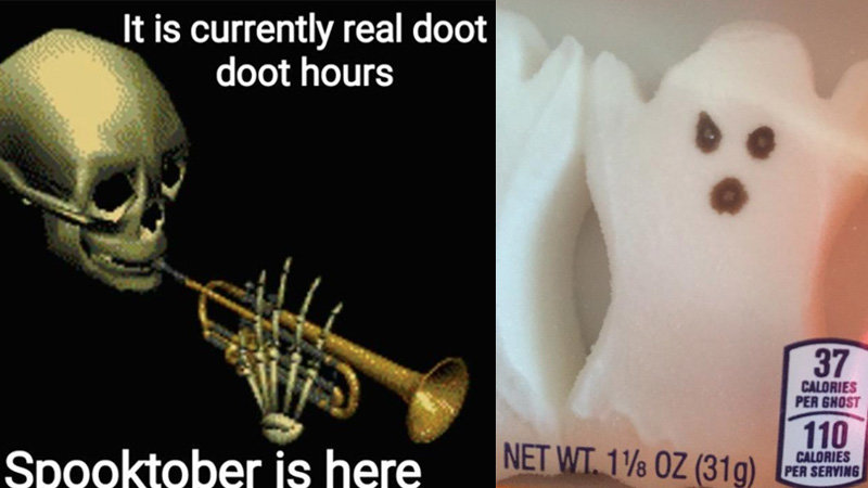 The Best Spooky Memes | Know Your Meme