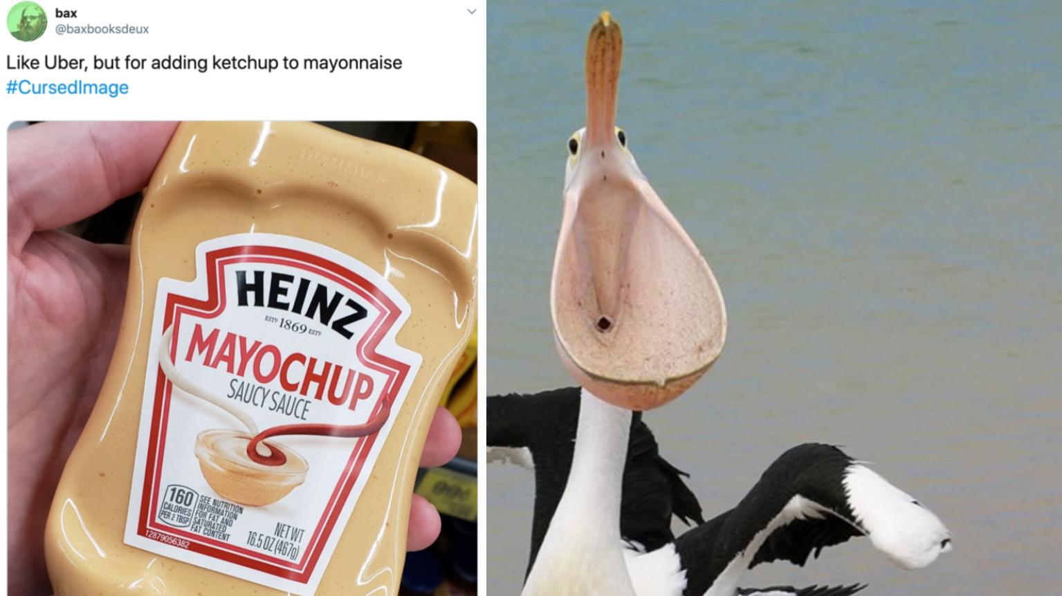 13 Cursed Images To Get You In The Halloween Spirit | Know Your Meme