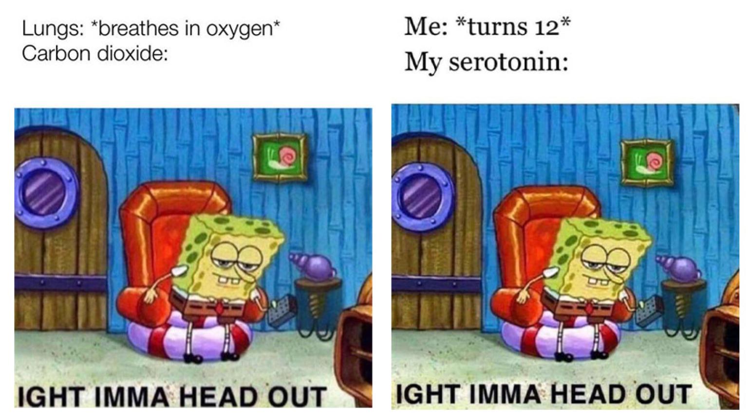 SpongeBob #39 s Had Enough In These 18 #39 Ight Imma Head Out #39 Memes Know