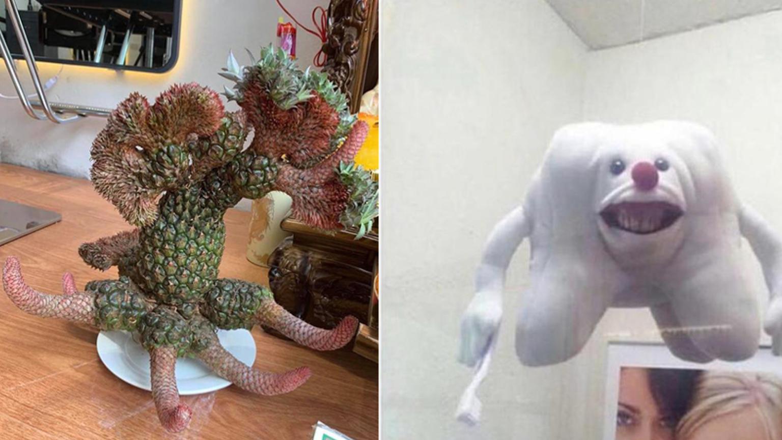 13 Confusing Photos That Are A Little Concerning | Know Your Meme