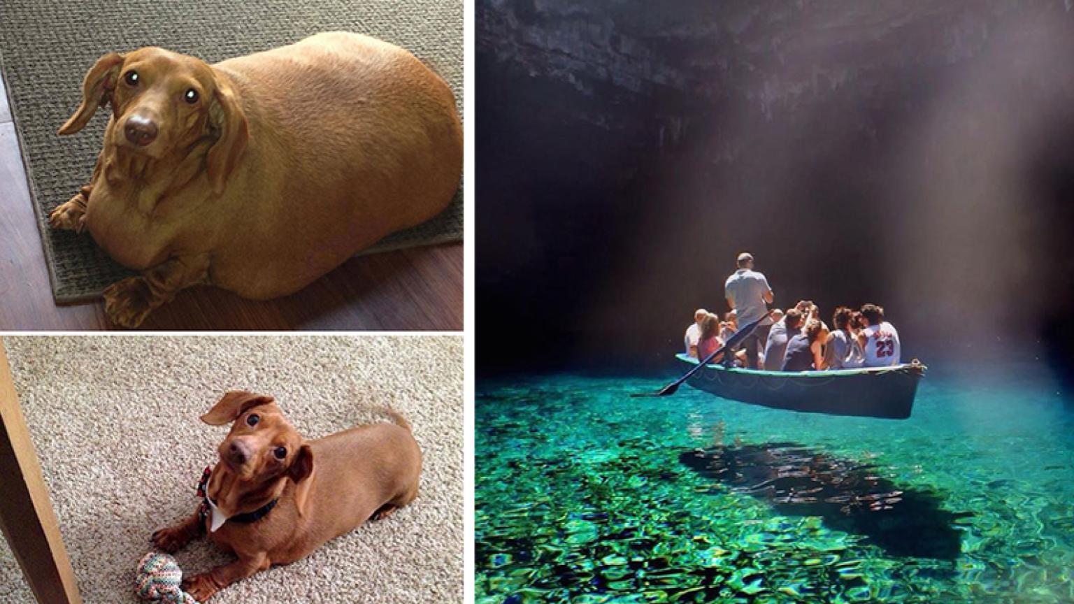 15 Incredible And Interesting Images To Peruse | Know Your Meme