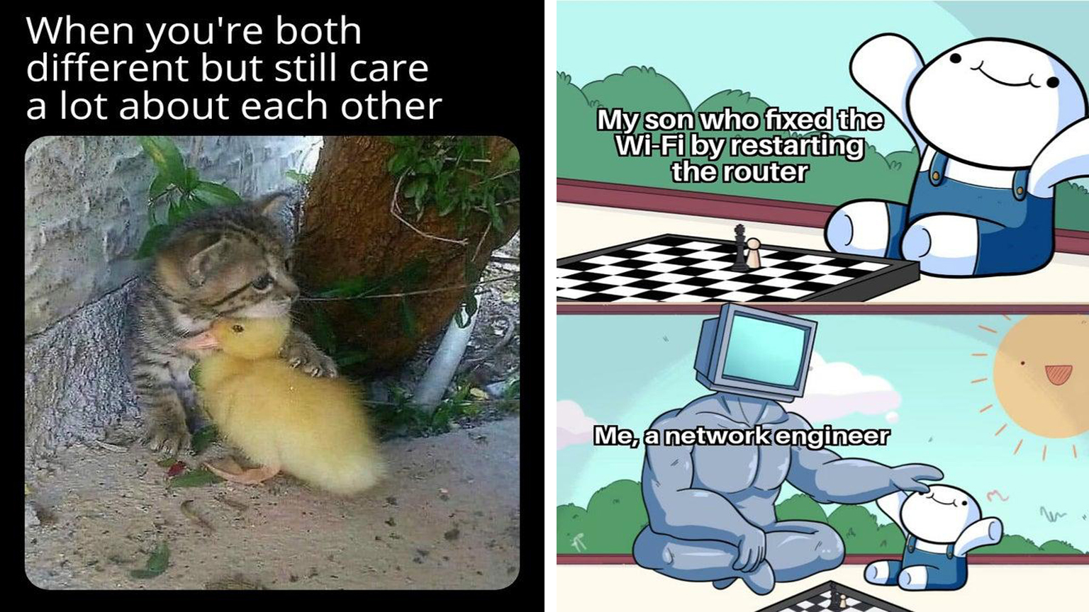 Start Your Week Off Right With These 25 Wholesome Memes