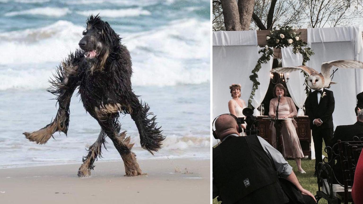 Two perfectly timed photos from the following collection.