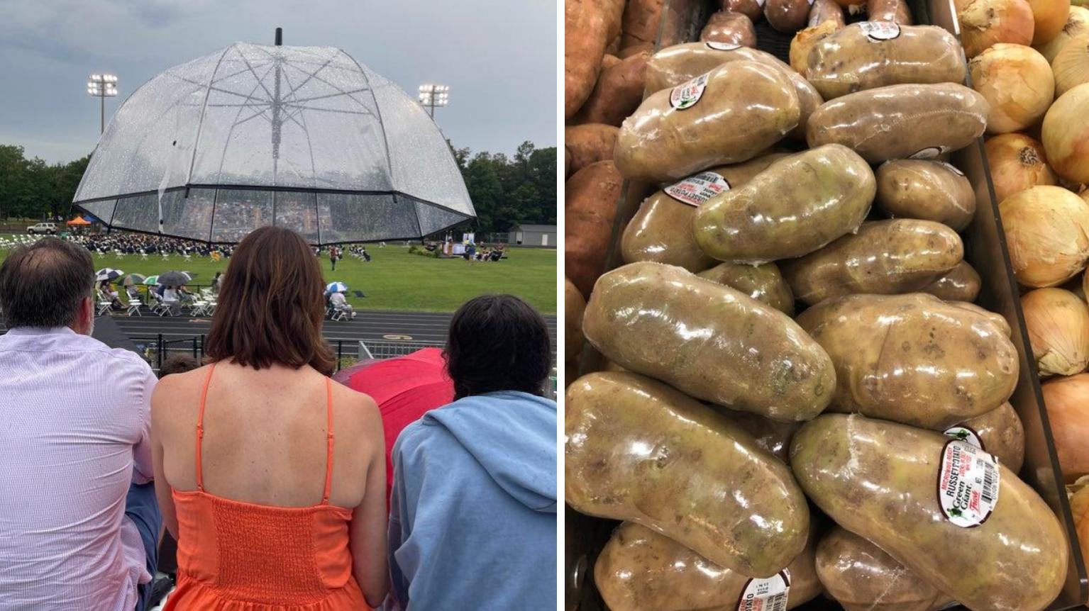 24 Mildly Infuriating Images To Both Annoy And Entertain | Know Your Meme