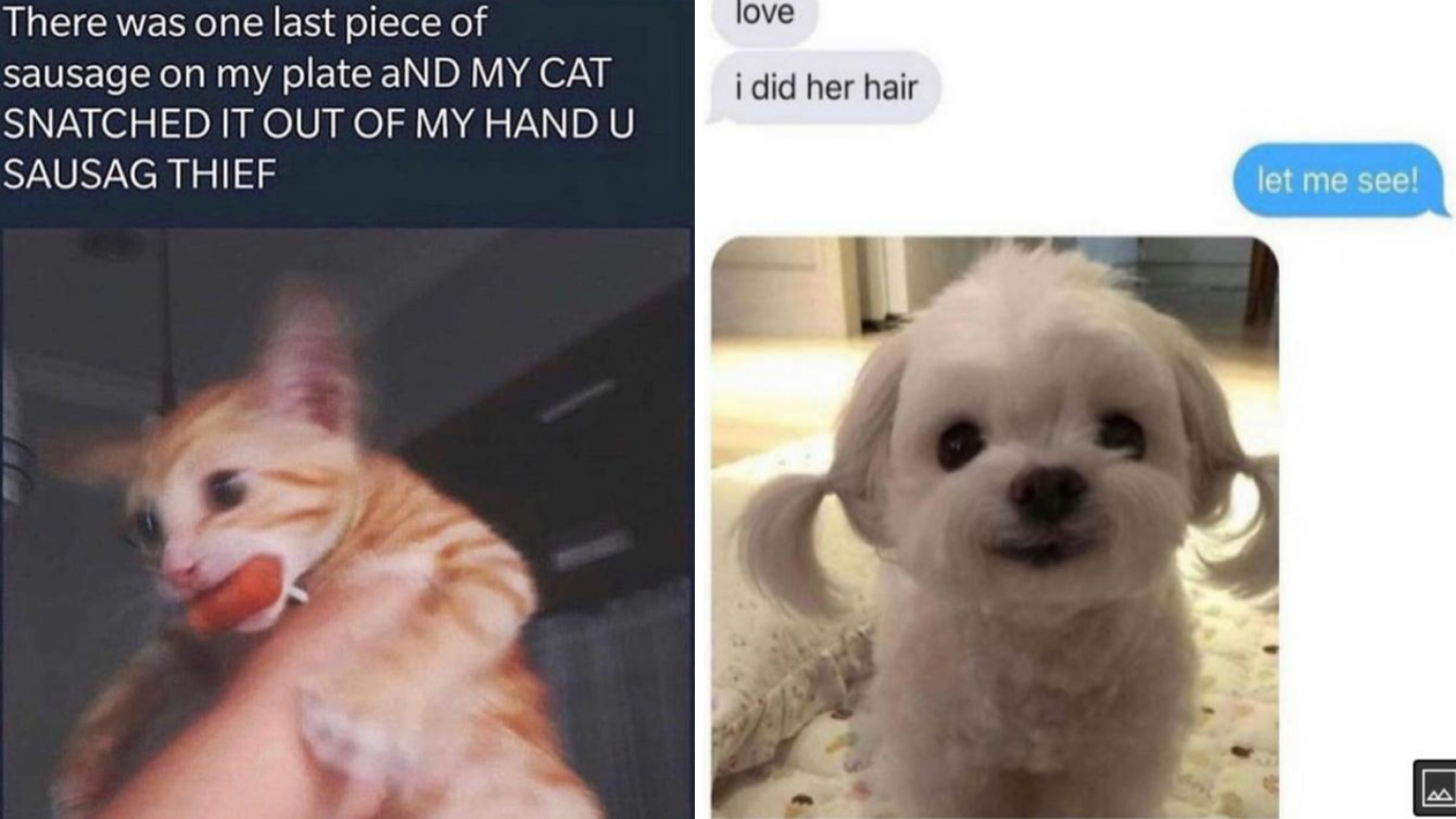 25 Wholesome Images To Bless Your Weekend