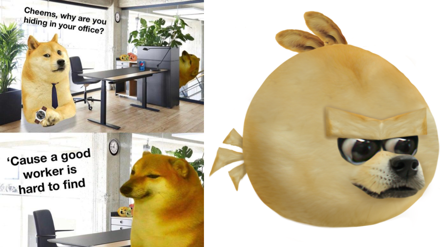 20 Dogelore Memes That Blur The Line Between Satire And Cringe