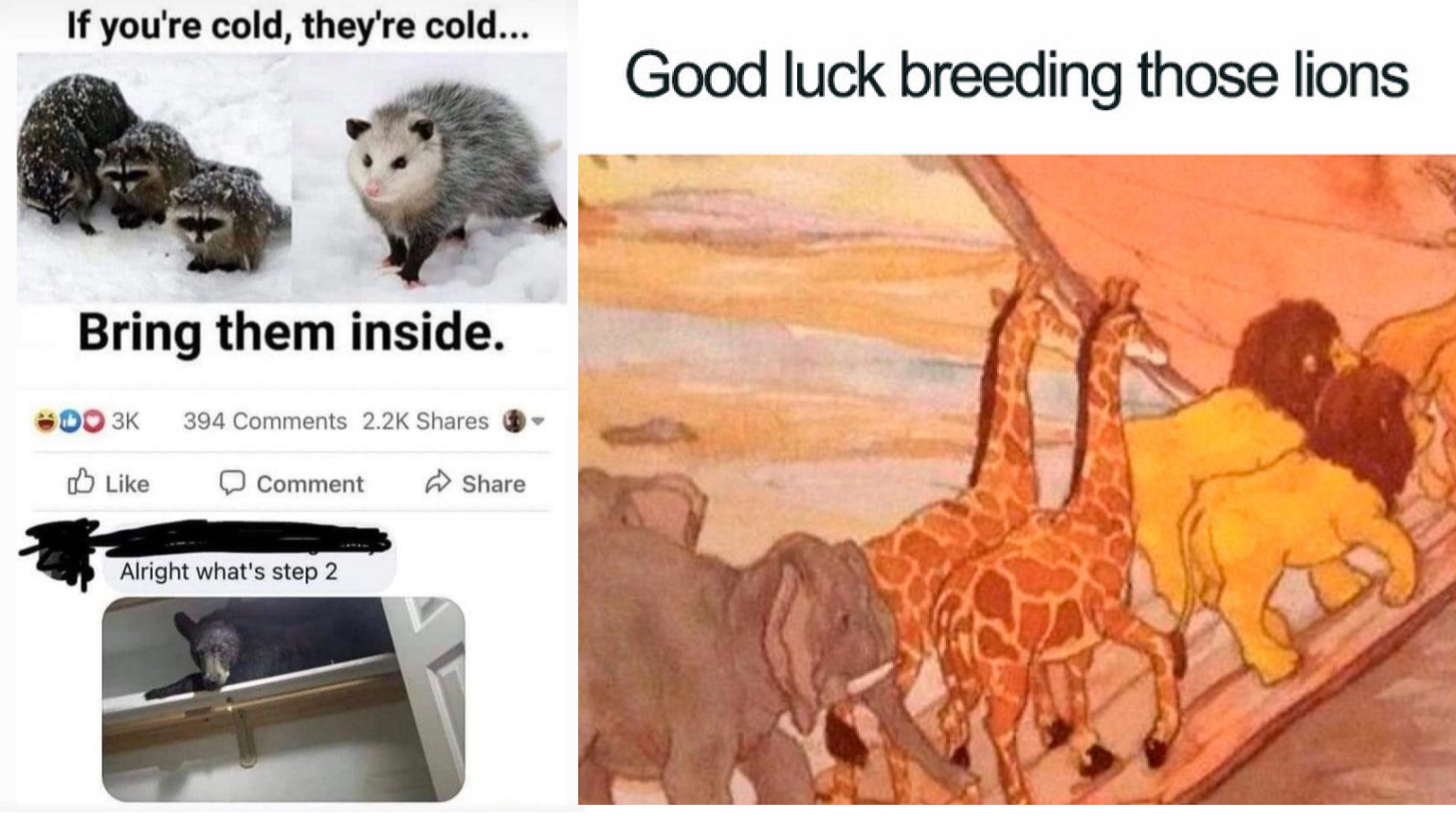 20 Of The Best Unexpected Twists From Reddit's 'Hol' Up'