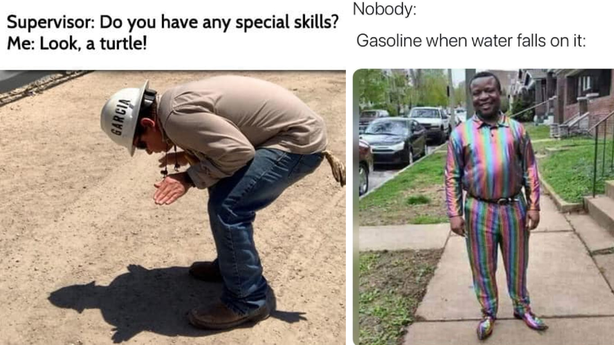 The Best Memes That Made It Past Our 'Meme Checkpoint' Facebook ...