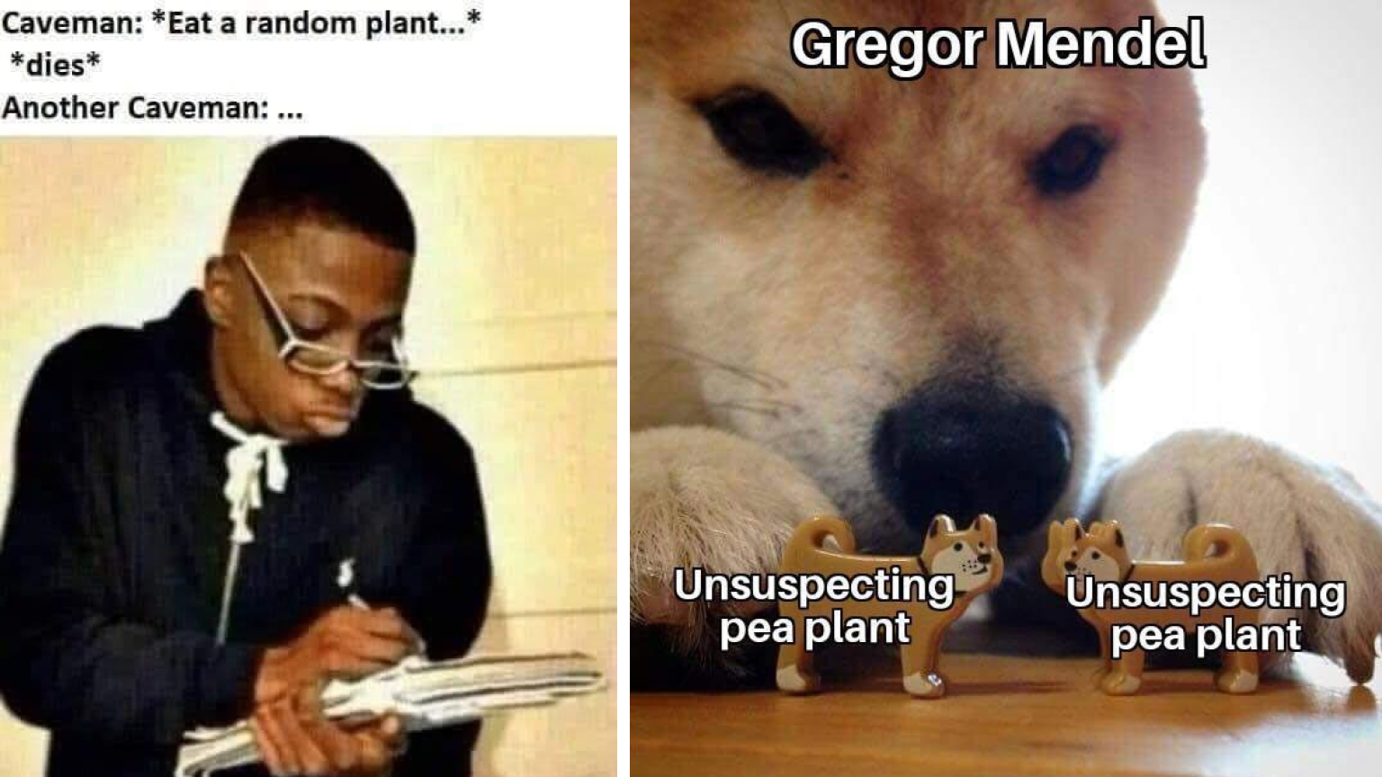 15 Science-Themed Memes To Pretend You're Learning Something This ...
