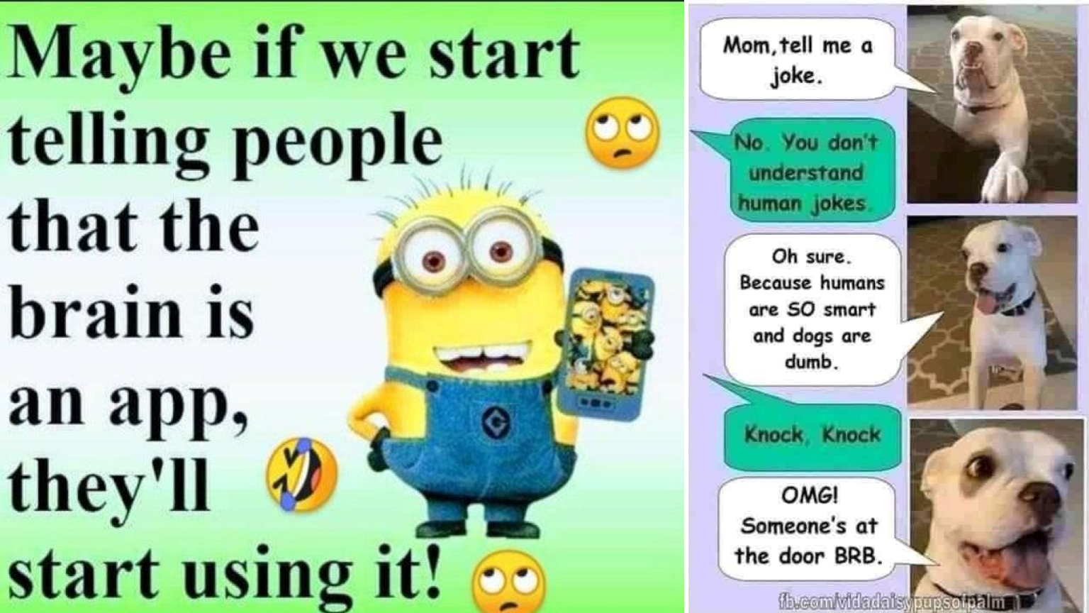 Two boomer memes in the following collection.