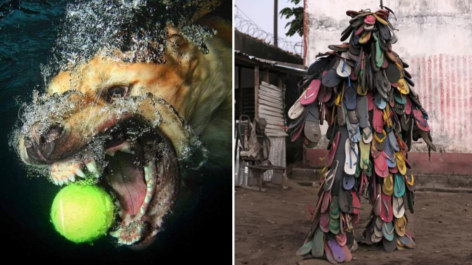 20 Opponents Prepared For The World's Weirdest Boss Fight