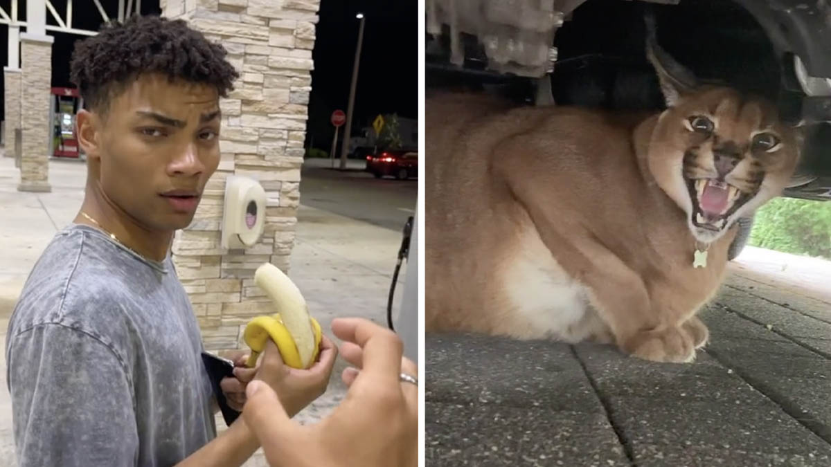 14 Strange Interactions Caught on TikTok