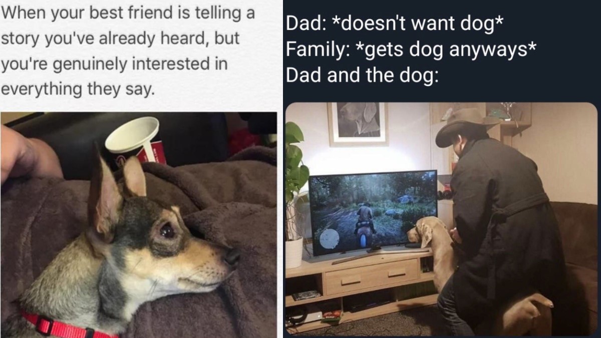 19 Wholesome Memes Perfect For A Quick Laugh | Know Your Meme