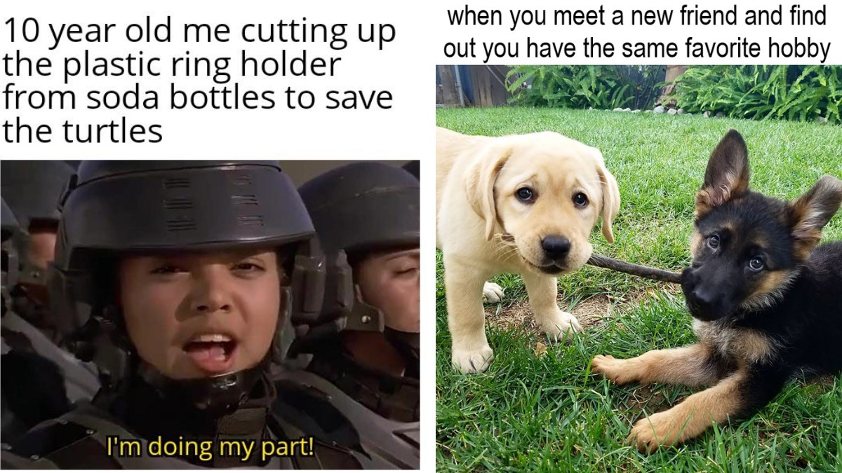 15 Wholesome Memes To Give You That Serotonin You Missed Because Of The Social Media Blackout