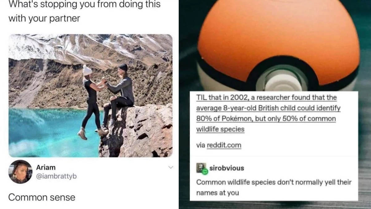 20 Clever Comebacks That Silenced The Opponent