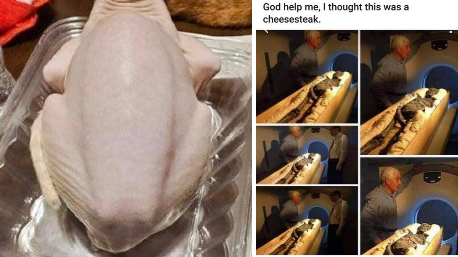 19 'Forbidden Snacks' Since We're Hungry Before Thanksgiving Dinner ...