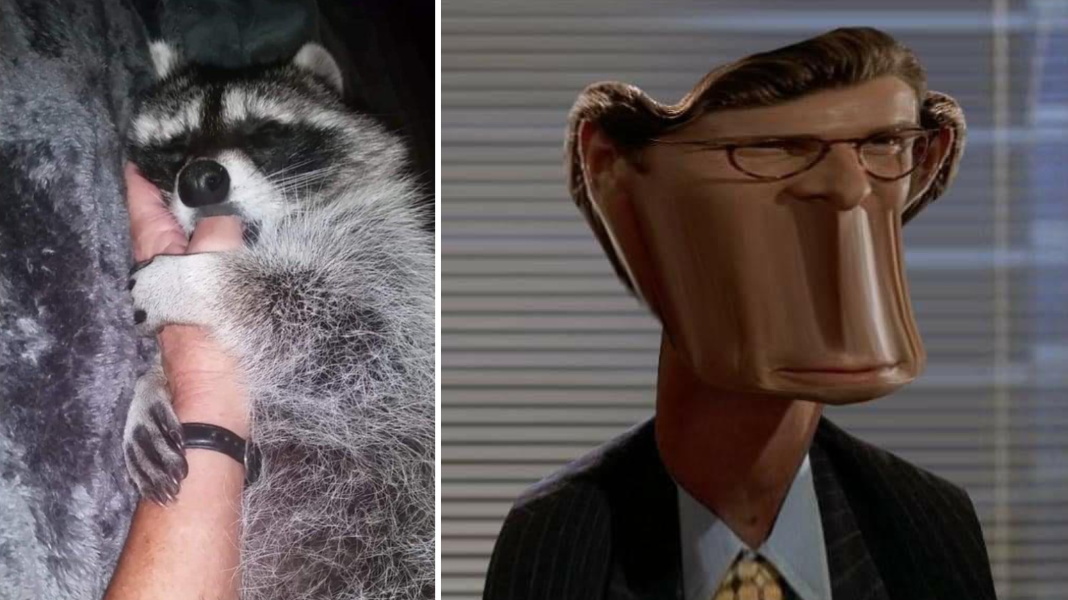 15 Blursed Images For A Blessed (Yet Cursed) Weekend (February 25, 2022 ...