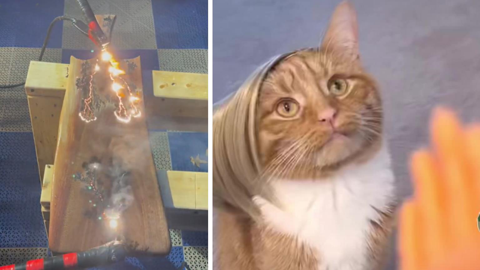 The Worst TikTok Trends Of May 2022