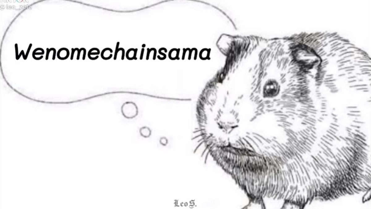 Wenomechainsama meme explained.
