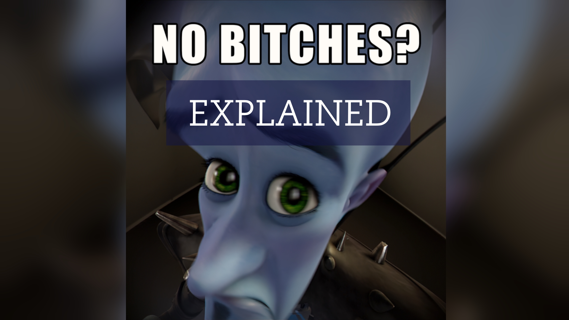 What Is The No Bitches Meme And What Does It Mean How Megamind 
