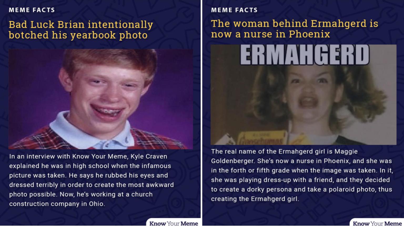 The Real Stories Behind 10 Of The Most Famous Advice Animals