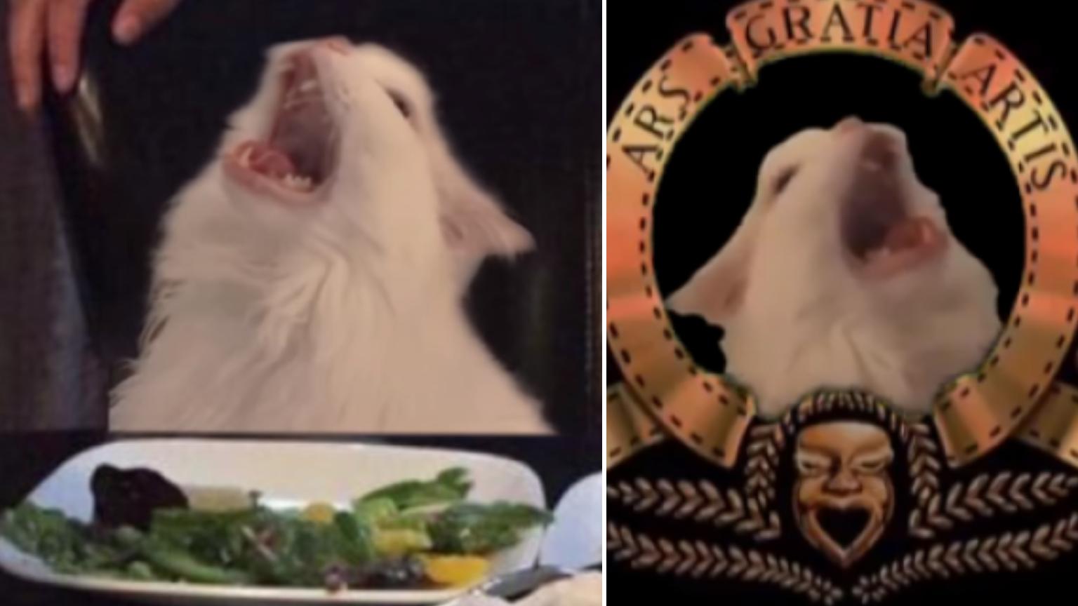 Rest In Peace, Thurston Waffles Know Your Meme