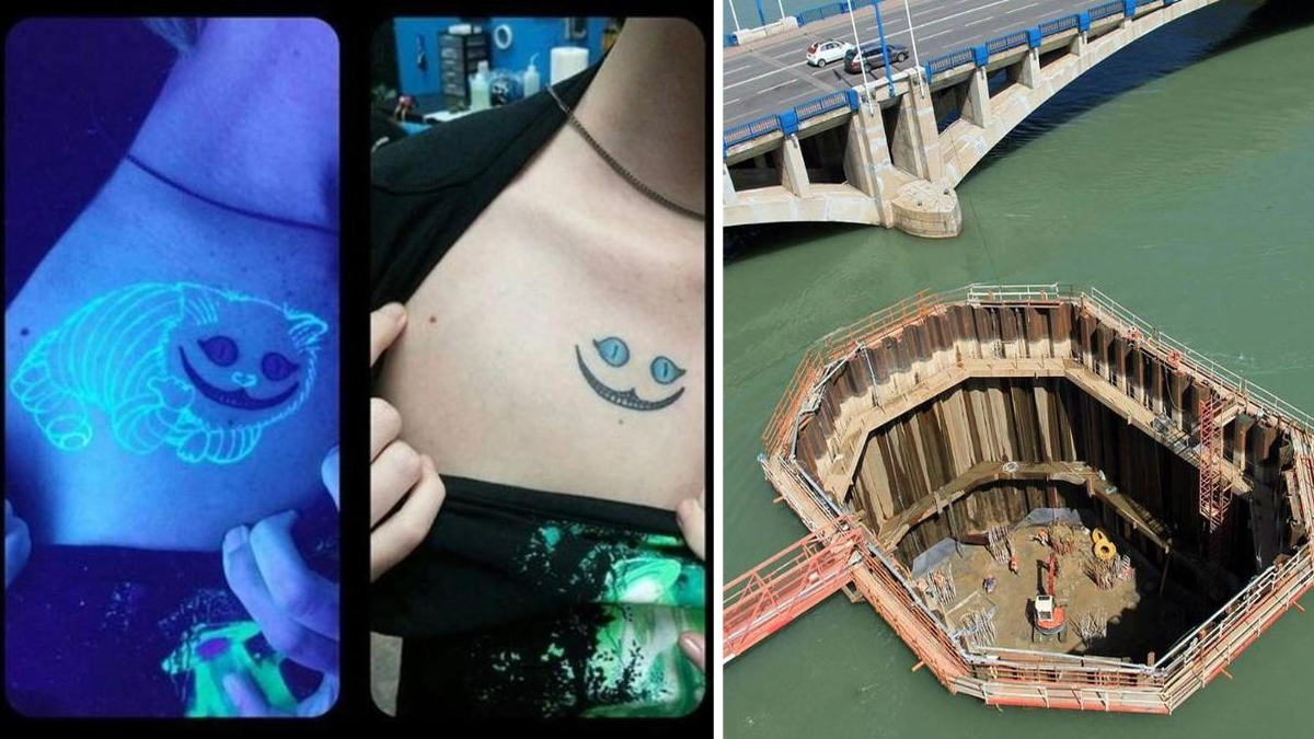 11 Unbelievable Photos Shared On Reddit | Know Your Meme