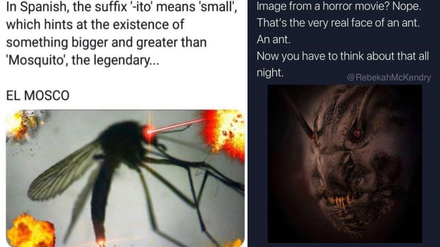 15 Strange Ironic Characters From Reddit's 'Boss Fight' Know Your Meme