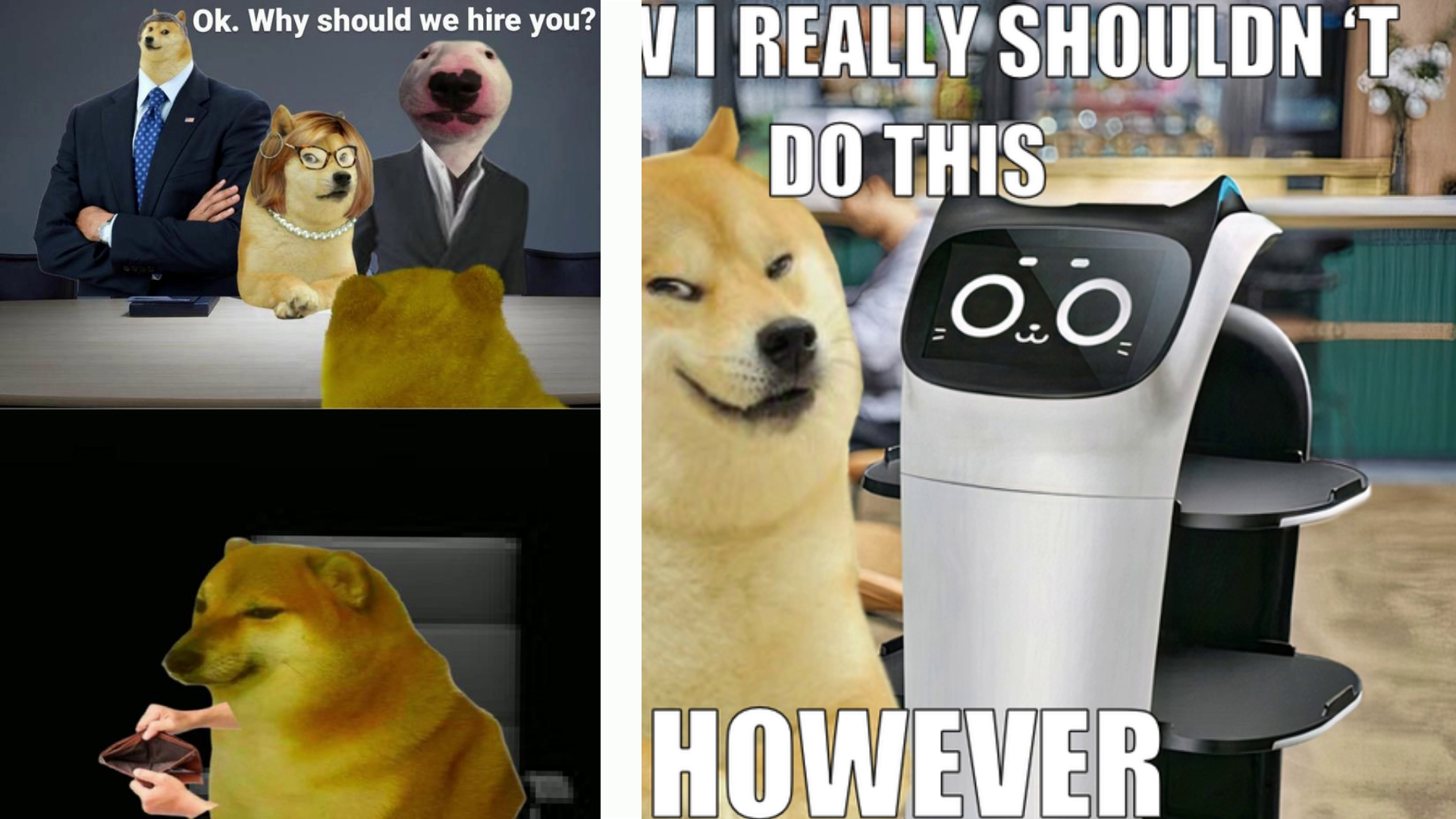 15 Doge Memes For Your Monthly Dose Of The Extended Doge Universe ...