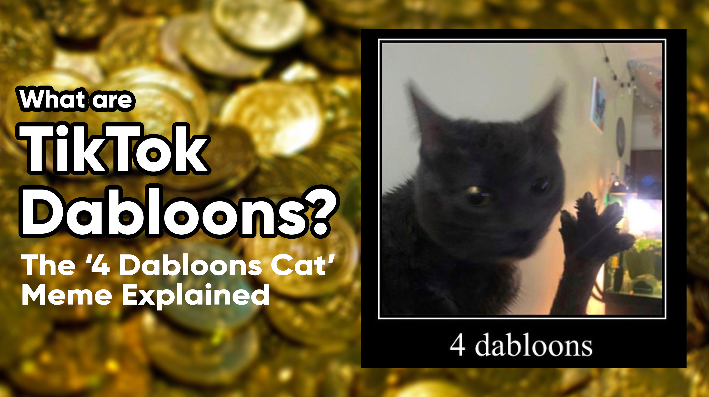 What Are TikTok Doubloons The 4 Dabloons Cat Meme Explained Know 